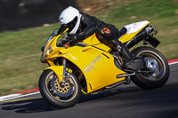 Evening Low_Mid Group Yellow Bikes